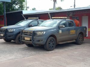 Bombeiros de MS e Força Nacional alinham estratégias para integração durante a Operação Pantanal