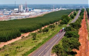 Rota da Celulose vai qualificar rodovias, impulsionar economia e mudar realidade de muitas pessoas