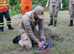 Na luta contra o fogo toda vida importa e Bombeiros aprimoram técnicas para resgate de animais silvestres