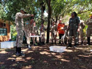 Na luta contra o fogo toda vida importa e Bombeiros aprimoram técnicas para resgate de animais silvestres