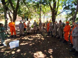 Na luta contra o fogo toda vida importa e Bombeiros aprimoram técnicas para resgate de animais silvestres