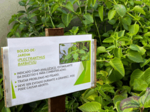 Amambai realiza Semana do Meio Ambiente com programação educativa nas escolas, praças e aldeias