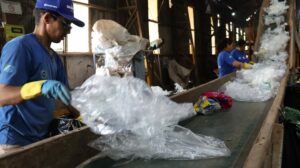 MS lidera ranking nacional de Logística Reversa de Embalagens com maior índice de reciclagem por habitante