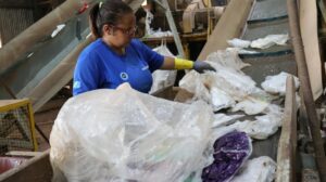 MS lidera ranking nacional de Logística Reversa de Embalagens com maior índice de reciclagem por habitante