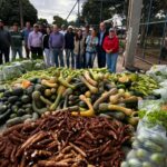 Vila Cristina recebe mais uma entrega de alimentos do Programa de Aquisição de Alimentos (PAA)
