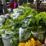 Vila Cristina recebe mais uma entrega de alimentos do Programa de Aquisição de Alimentos (PAA)