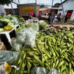 Vila Cristina recebe mais uma entrega de alimentos do Programa de Aquisição de Alimentos (PAA)