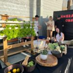 Colégio CELQ realiza Feira de Ciências 2025 em Amambai