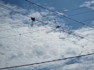 Energisa alerta sobre cuidados ao empinar pipas próximo à rede elétrica