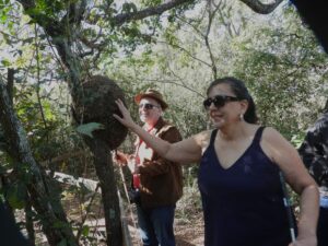 Turismo Acessível ganha força em Mato Grosso do Sul com experiências reais de inclusão