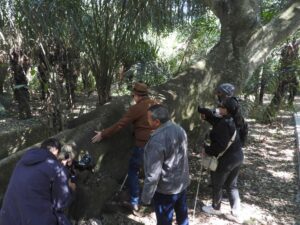 Turismo Acessível ganha força em Mato Grosso do Sul com experiências reais de inclusão