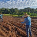 IFMS e Prefeitura de Amambai iniciam curso de formação em piscicultura com foco no desenvolvimento local