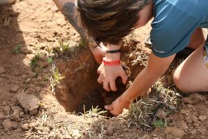 Plantio de árvores marca início da ação de compensação de carbono do Festival de Inverno 2025