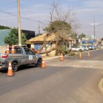 Ventania derruba árvore e danifica estrutura pública em Amambai