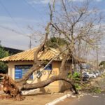 Ventania derruba árvore e danifica estrutura pública em Amambai