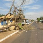 Ventania derruba árvore e danifica estrutura pública em Amambai