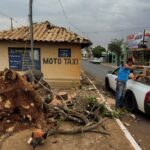 Ventania derruba árvore e danifica estrutura pública em Amambai