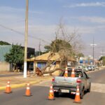 Ventania derruba árvore e danifica estrutura pública em Amambai
