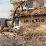 Ventania derruba árvore e danifica estrutura pública em Amambai