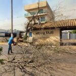 Ventania derruba árvore e danifica estrutura pública em Amambai