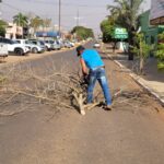 Ventania derruba árvore e danifica estrutura pública em Amambai