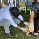 Secretaria de Saúde vacinou 260 animais durante o 1º Amaterra em Amambai
