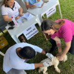 Secretaria de Saúde vacinou 260 animais durante o 1º Amaterra em Amambai