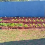 Saúde mental em foco: 4 meses do CAPS de Amambai mostram avanço na RAPS estadual