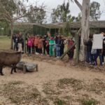 Projeto Florestinha realiza dia de Educação Ambiental na Fazenda Green Farm