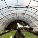 Projeto Florestinha realiza dia de Educação Ambiental na Fazenda Green Farm