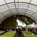 Projeto Florestinha realiza dia de Educação Ambiental na Fazenda Green Farm