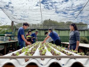 Do ar para a terra: escola estadual de MS transforma água de ar-condicionado em alfaces sustentáveis Do ar para a terra: escola estadual de MS transforma água de ar-condicionado em alfaces sustentáveis
