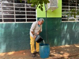 Do ar para a terra: escola estadual de MS transforma água de ar-condicionado em alfaces sustentáveis Do ar para a terra: escola estadual de MS transforma água de ar-condicionado em alfaces sustentáveis