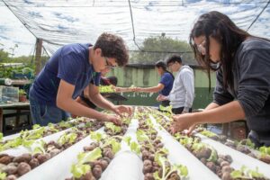 Do ar para a terra: escola estadual de MS transforma água de ar-condicionado em alfaces sustentáveis Do ar para a terra: escola estadual de MS transforma água de ar-condicionado em alfaces sustentáveis