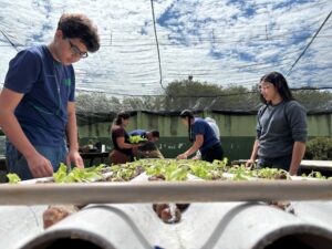 Do ar para a terra: escola estadual de MS transforma água de ar-condicionado em alfaces sustentáveis Do ar para a terra: escola estadual de MS transforma água de ar-condicionado em alfaces sustentáveis