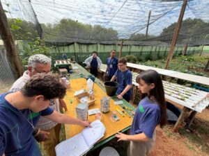 Do ar para a terra: escola estadual de MS transforma água de ar-condicionado em alfaces sustentáveis Do ar para a terra: escola estadual de MS transforma água de ar-condicionado em alfaces sustentáveis