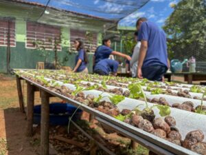 Do ar para a terra: escola estadual de MS transforma água de ar-condicionado em alfaces sustentáveis Do ar para a terra: escola estadual de MS transforma água de ar-condicionado em alfaces sustentáveis