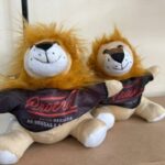 Amambai realiza 31ª Formatura do PROERD e fortalece compromisso com a prevenção às drogas e à violência