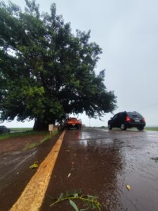 Corpo de Bombeiros desobstrui rodovia após queda de galhos na MS-386, em Amambai