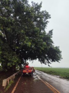 Corpo de Bombeiros desobstrui rodovia após queda de galhos na MS-386, em Amambai