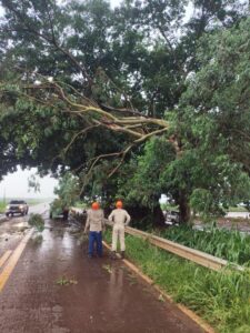 Corpo de Bombeiros desobstrui rodovia após queda de galhos na MS-386, em Amambai