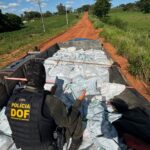 Com quase 200 toneladas em 2025, DOF registra a 2ª maior marca histórica em apreensões de drogas Com quase 200 toneladas em 2025, DOF registra a 2ª maior marca histórica em apreensões de drogas