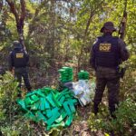 DOF apreende quase 300 quilos de drogas que seguiam para Minas Gerais DOF apreende quase 300 quilos de drogas que seguiam para Minas Gerais