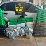 DOF apreende quase 300 quilos de drogas que seguiam para Minas Gerais DOF apreende quase 300 quilos de drogas que seguiam para Minas Gerais
