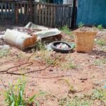 Aumento de casos de dengue e chikungunya acende alerta em Amambai