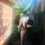 Aumento de casos de dengue e chikungunya acende alerta em Amambai