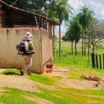 Aumento de casos de dengue e chikungunya acende alerta em Amambai