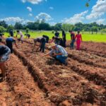 Oficina de horta promoveu sustentabilidade e aprendizado na Escola Municipal Mitã Rory Oficina de horta promoveu sustentabilidade e aprendizado na Escola Municipal Mitã Rory