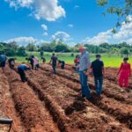 Oficina de horta promoveu sustentabilidade e aprendizado na Escola Municipal Mitã Rory Oficina de horta promoveu sustentabilidade e aprendizado na Escola Municipal Mitã Rory