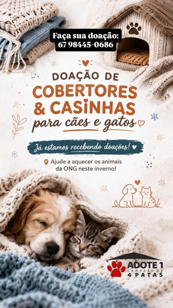 Com a chegada do frio, ONG de Amambai pede doação de cobertores e casinhas para animais resgatados Com a chegada do frio, ONG de Amambai pede doação de cobertores e casinhas para animais resgatados